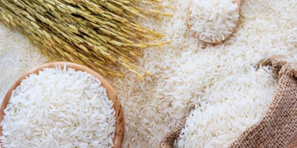 تصویر 4 از خرید و قیمت برنج مازندران طارم اصل + فروش صادراتی